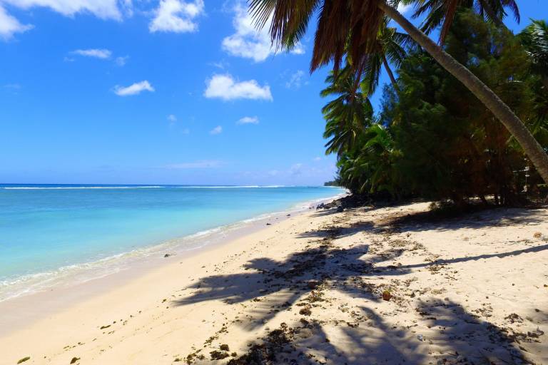 Dom wiejski Akaoa Tapere