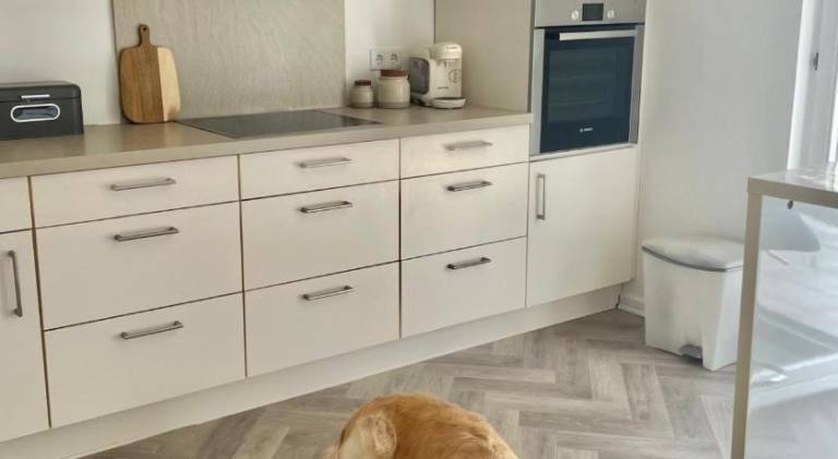 Holiday apartment with 1 room for 4 persons — photo 3