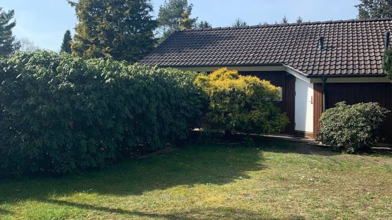 foto23