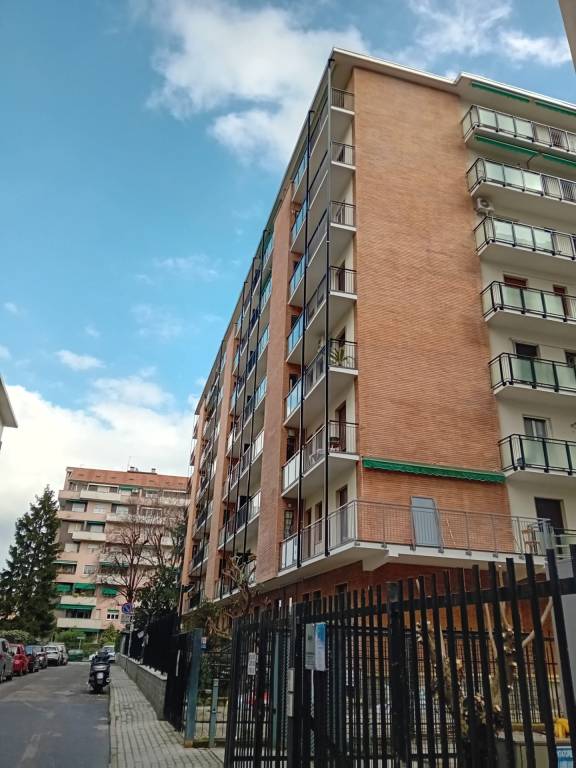 foto12