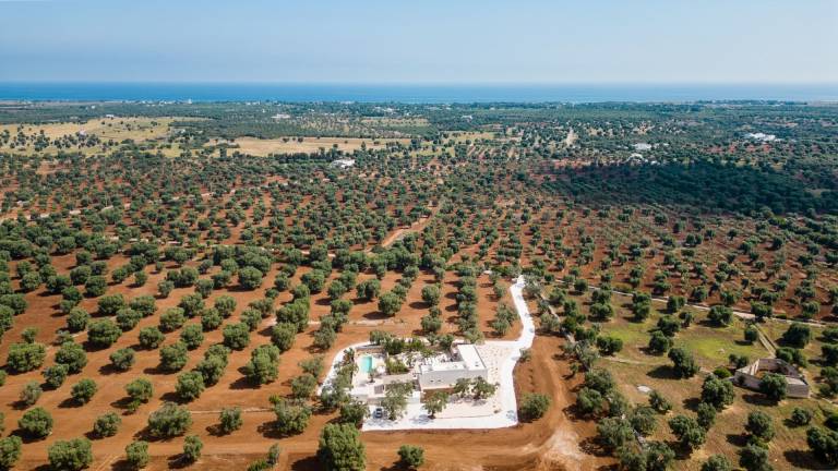 Masseria il tufo, excellent solution with private pool and parking space — photo 3