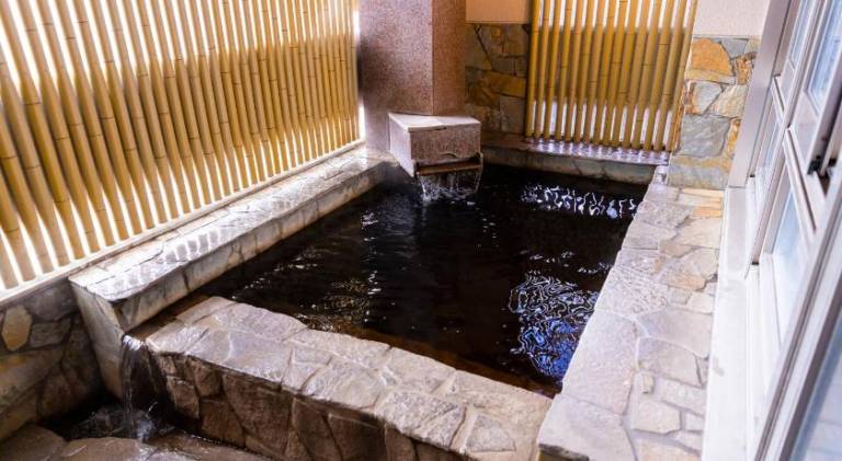 Natural Hot Spring Ariston Hotel Oita