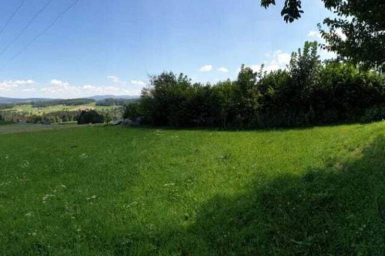 foto24