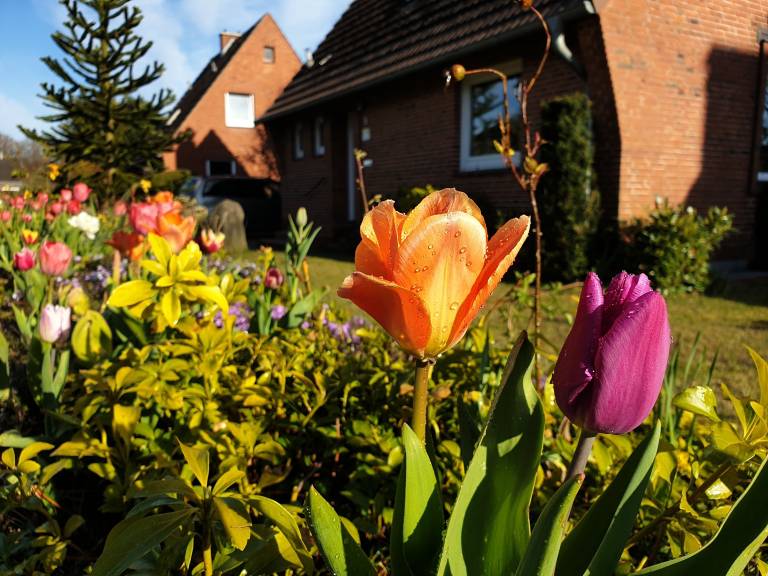 Ferienhaus Büdelsdorf