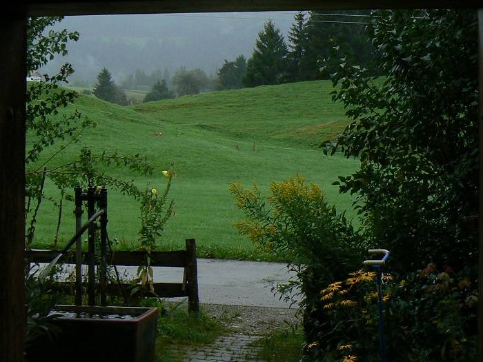 foto22