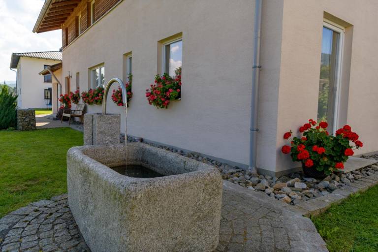 foto15