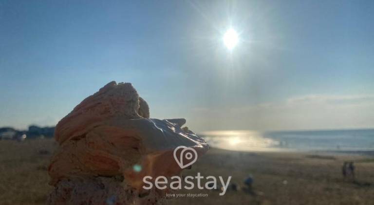 foto41