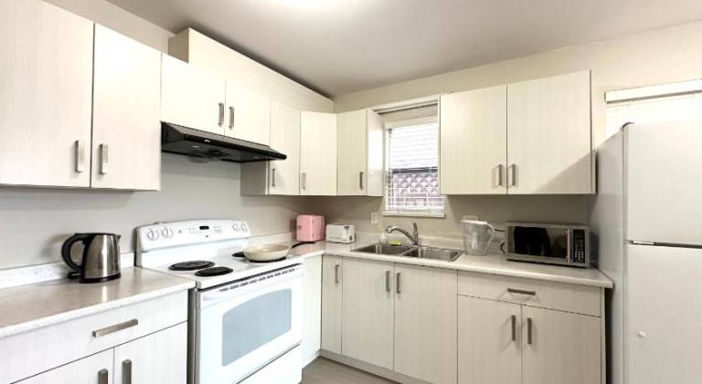 Newly renovated 2 bed 1 bath in Ladner BC