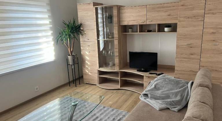 Rental apartment | Near Gate of Dawn | Dogs allowed in Vilnius