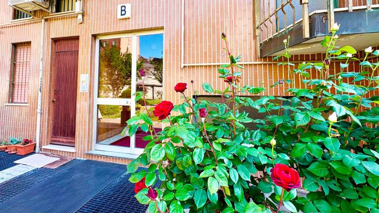 Rental apartment with 1 room for 4 persons — photo 4
