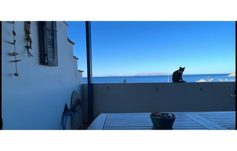 Holiday Home 'Waterfront Masterpiece' with Sea View, Wi-Fi and Air Conditioning — photo 3