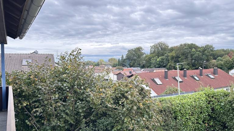 foto19