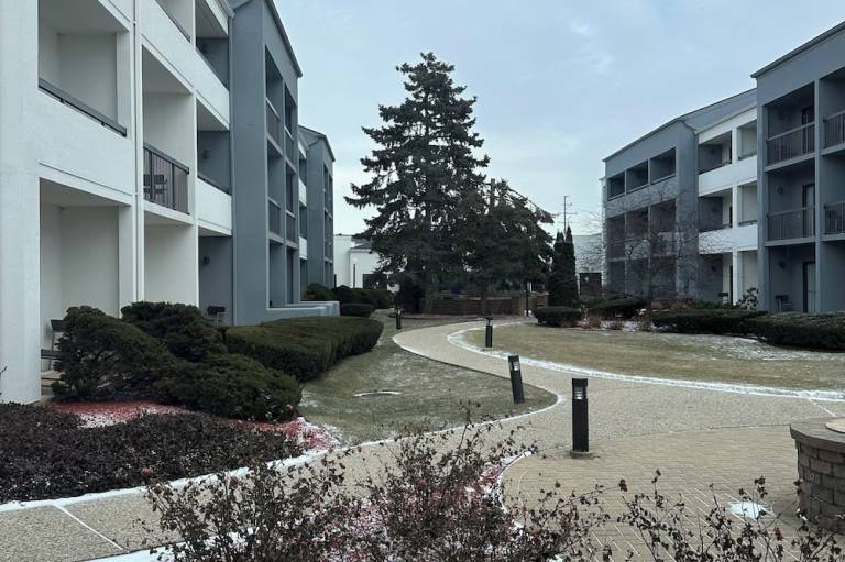 foto11