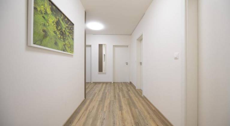 Rental apartment with patio & yard | Dogs allowed — photo 5