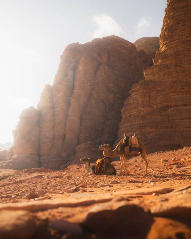 A luxurious experience under the stars of Wadi Rum — photo 3