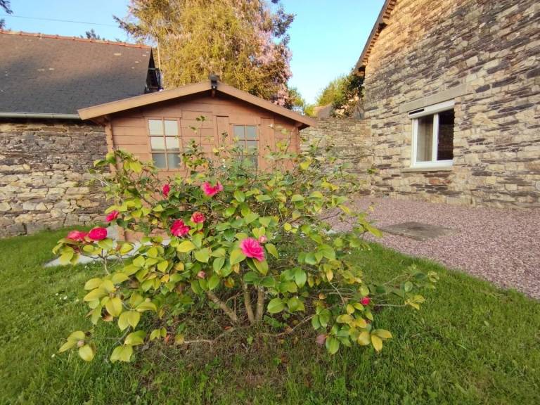 foto33