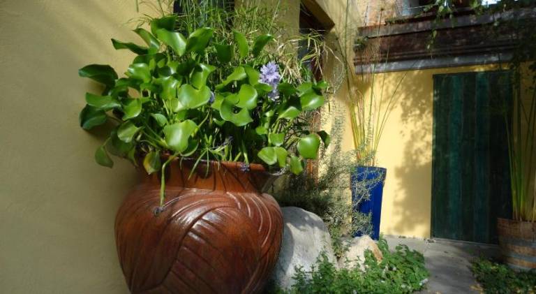 foto21