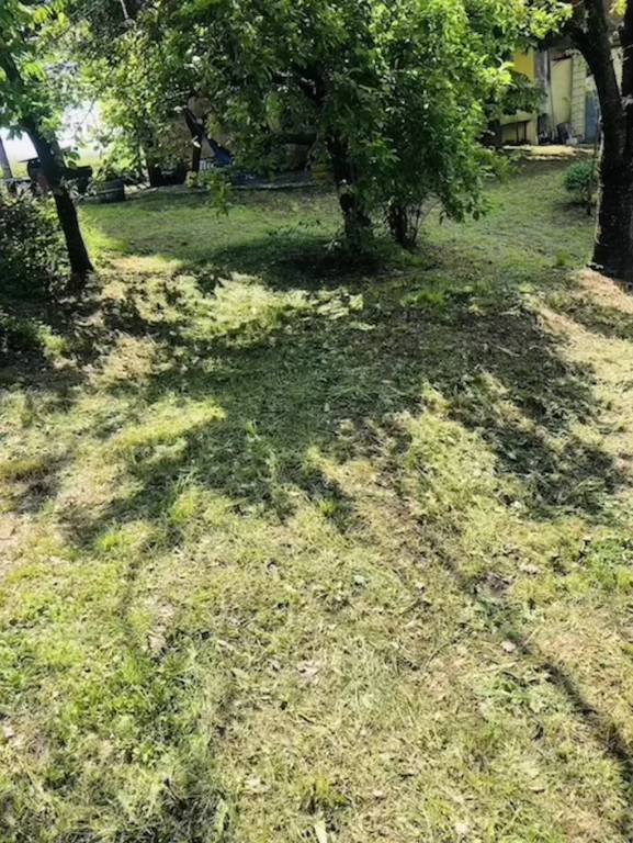 foto17