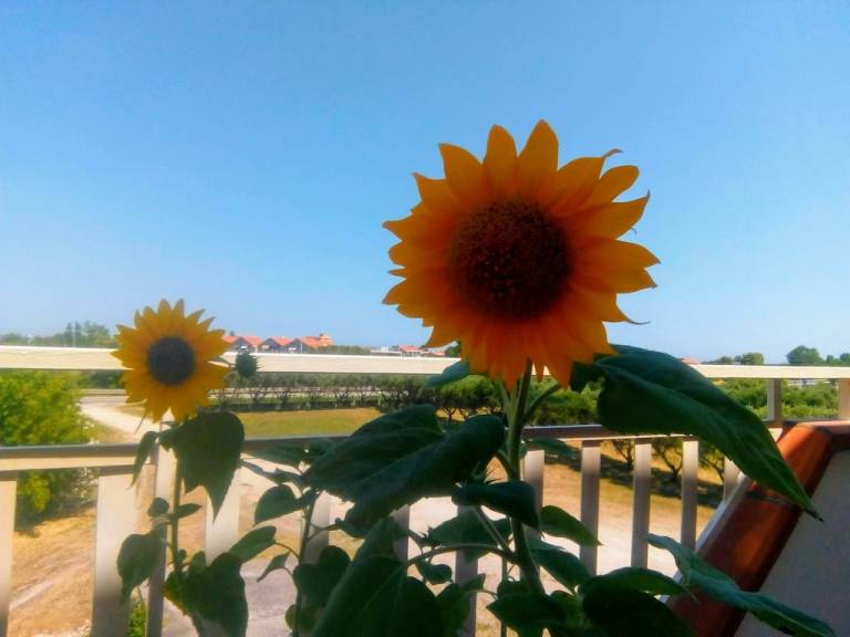 Casa Montenero di bisaccia