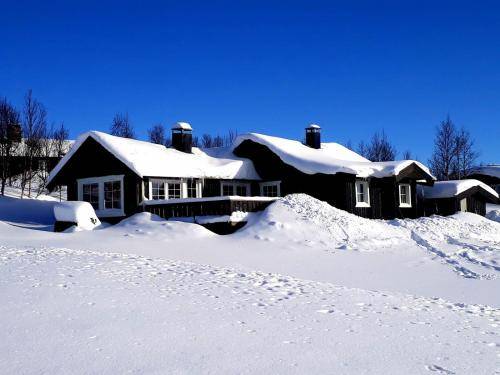 Hus Hol