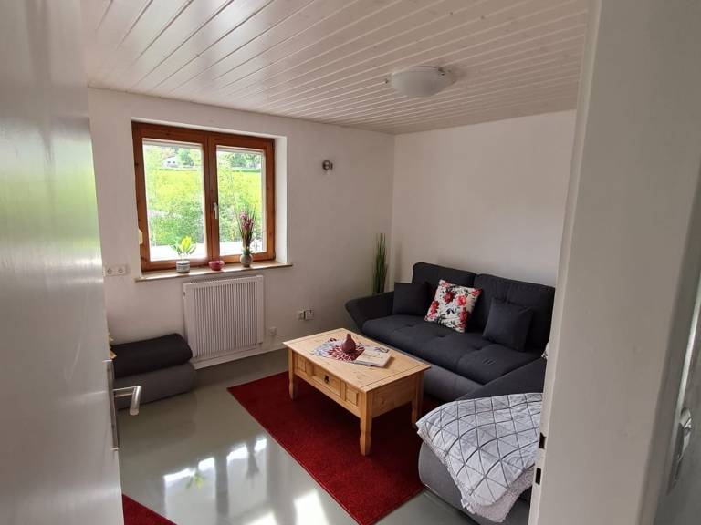 Apartment with terrace, yard & barbeque | Garden view in Ravensburg