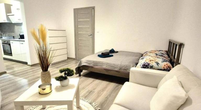 Holiday apartment | Pet-friendly in Bratislava