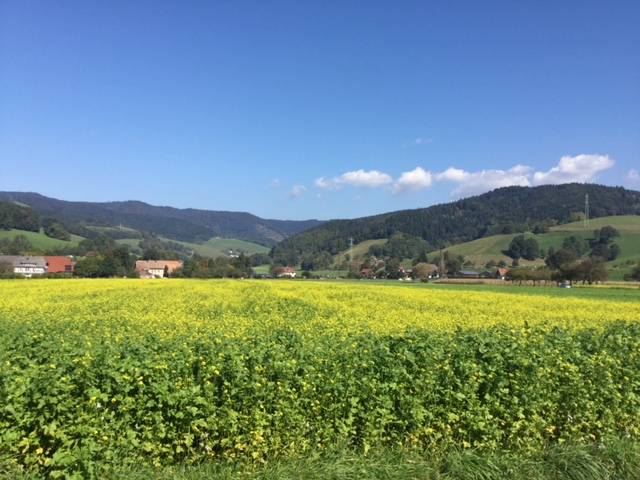 foto20