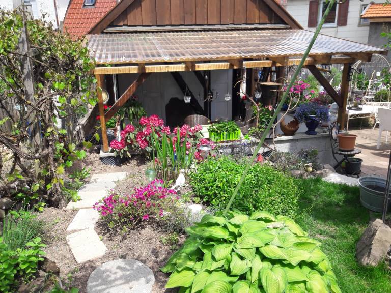 foto1