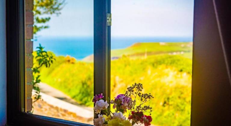 Nice house | Pets are welcome in Tintagel