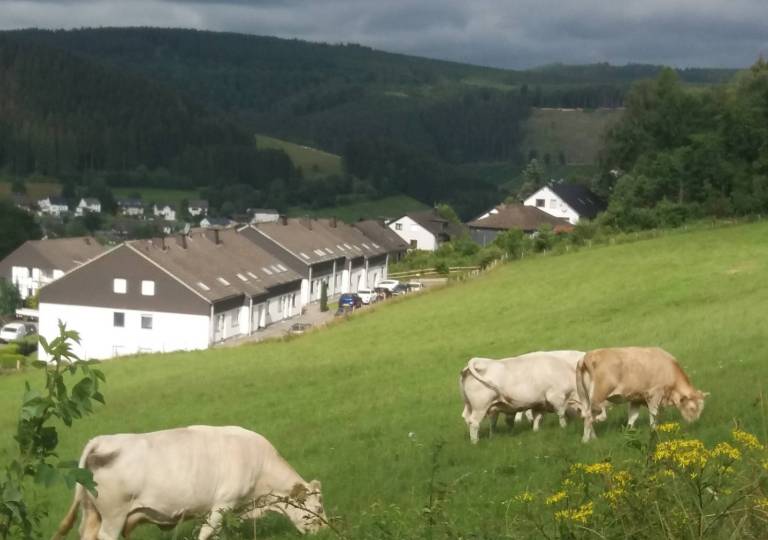 foto14
