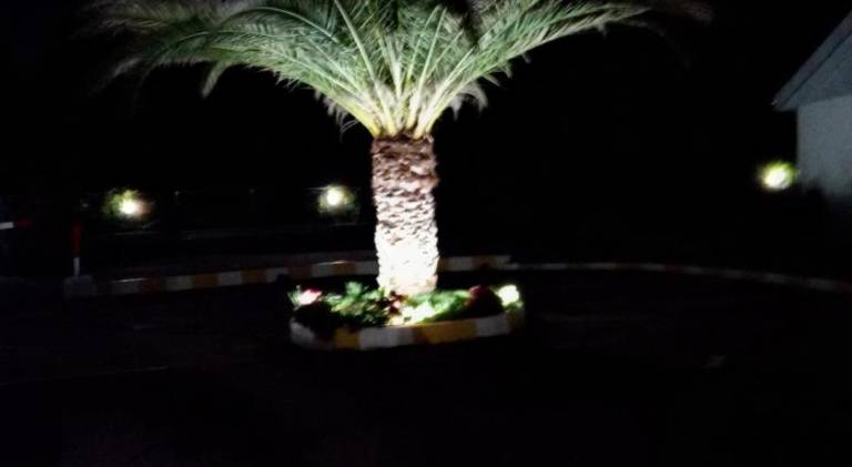 foto37