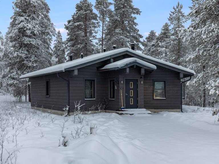 Vacation home with sauna — photo 2