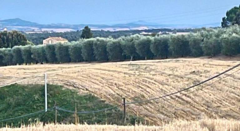 Vacation home with 2 rooms for 6 persons in Castelnuovo Berardenga