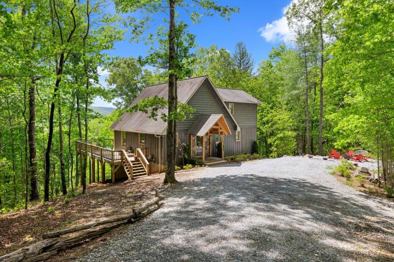 Cabin  Lake Burton