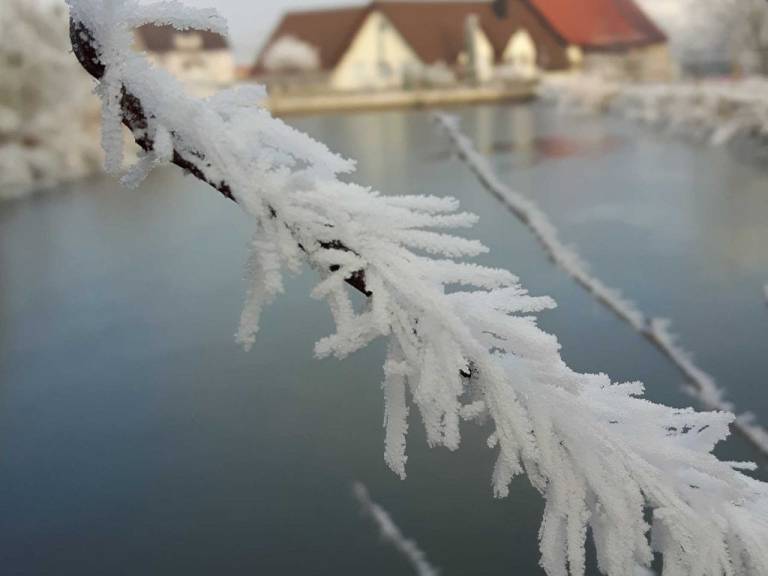 foto45