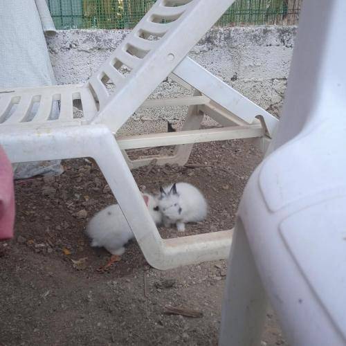 foto9