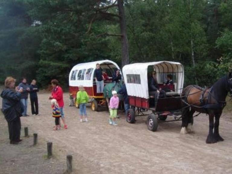 foto17