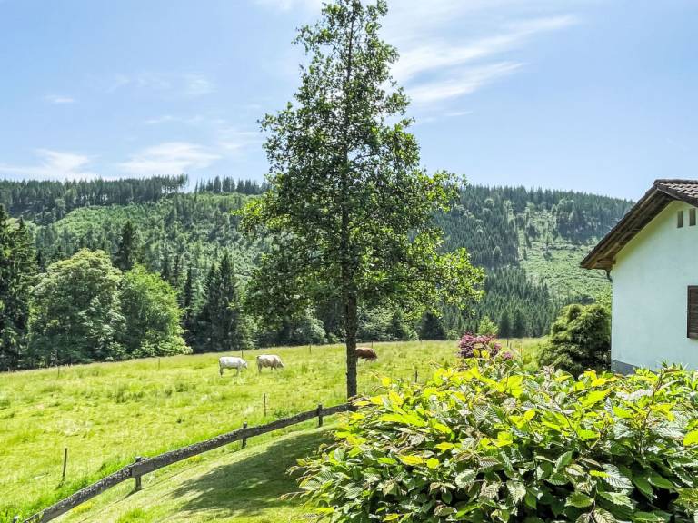 Huis Feldberg