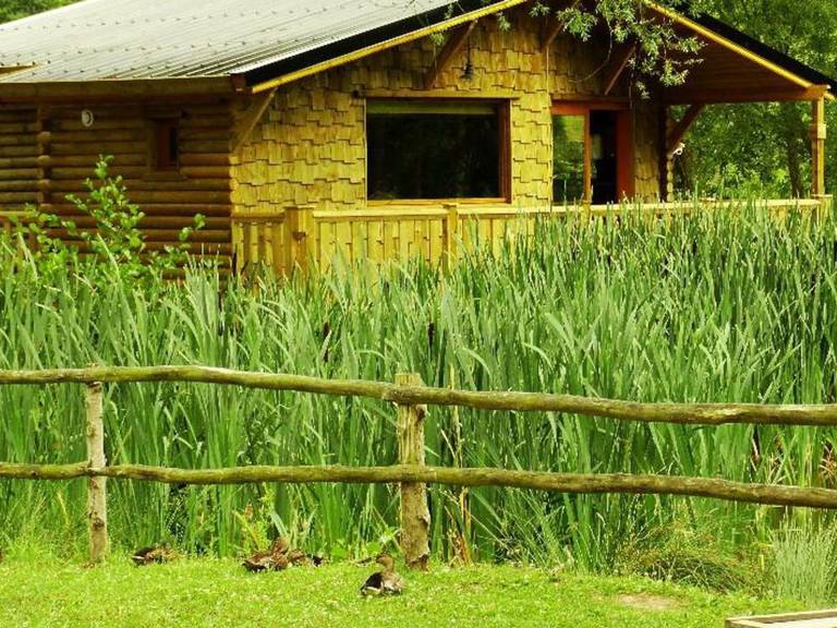 Pleasant chalet | Dogs allowed — photo 2