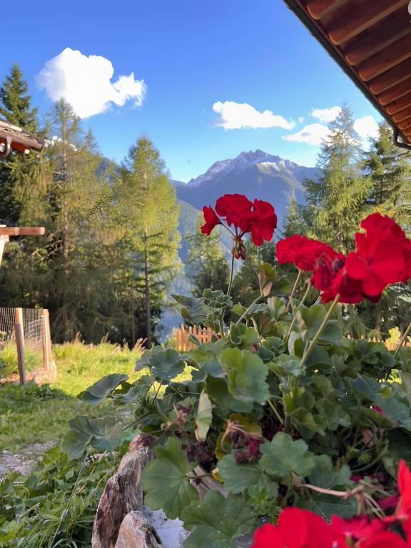 foto20