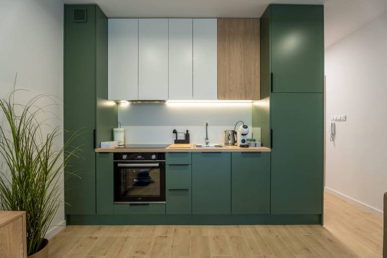 Family-oriented studio with fast internet | Dogs allowed — photo 2