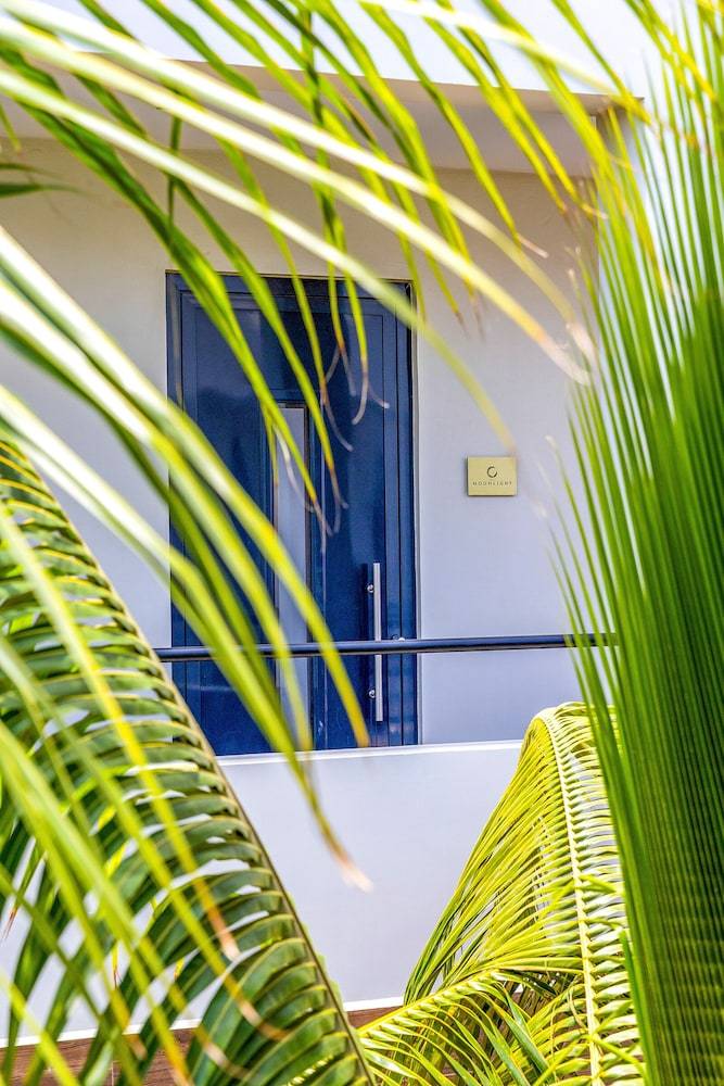 Aparthotel Playa