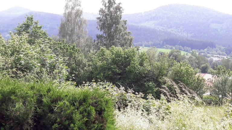 foto15