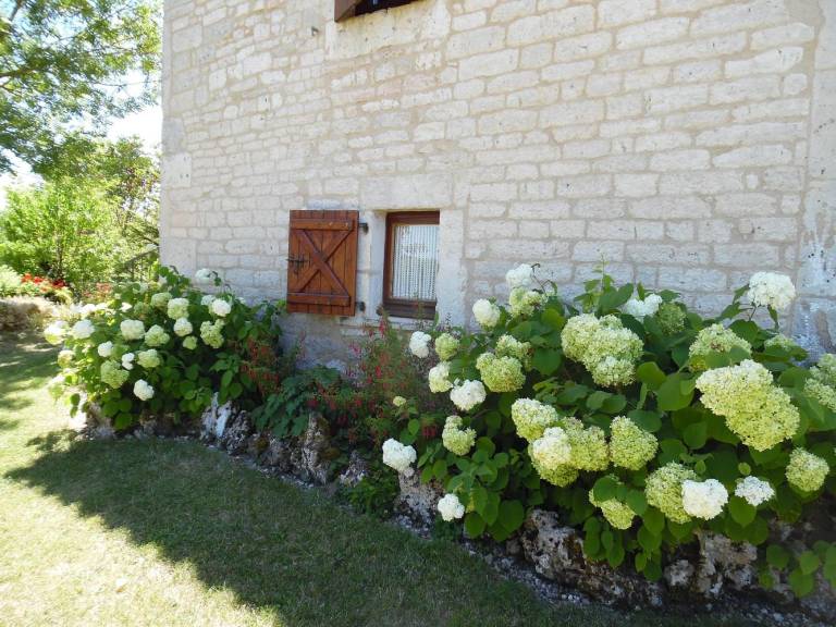 foto24