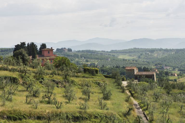 My Exclusive Italy - Enchanting Villa with Pool surrounded by vineyards — photo 4