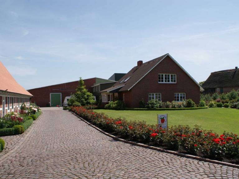 Ferienwohnung  Grünendeich