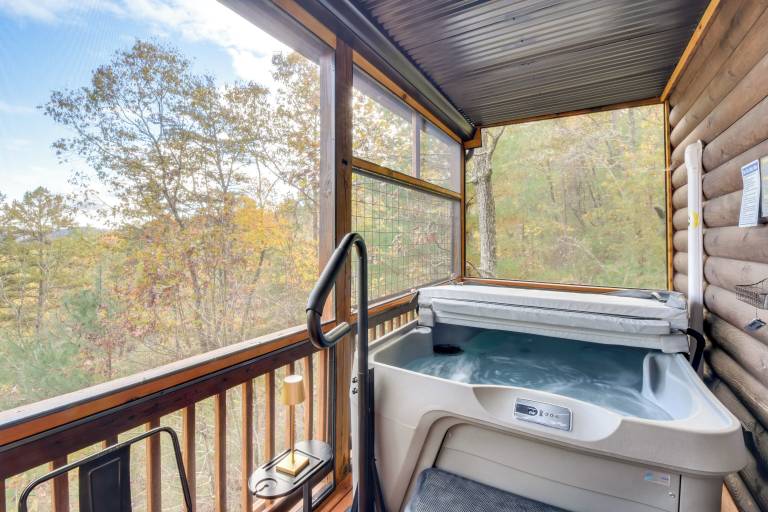 Cabin Lakemont