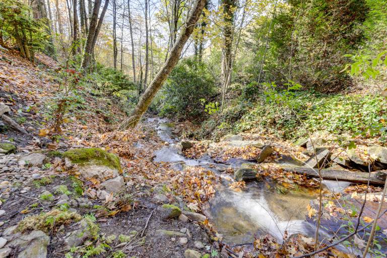 Creekside Cabin in the Heart of Maggie Valley — photo 4