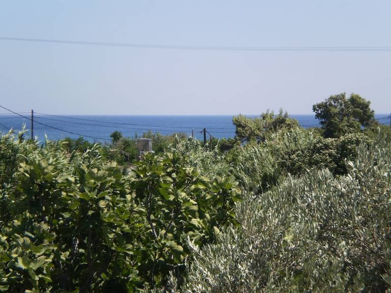 Απαρχοτέλ Μαραθόκαμπος