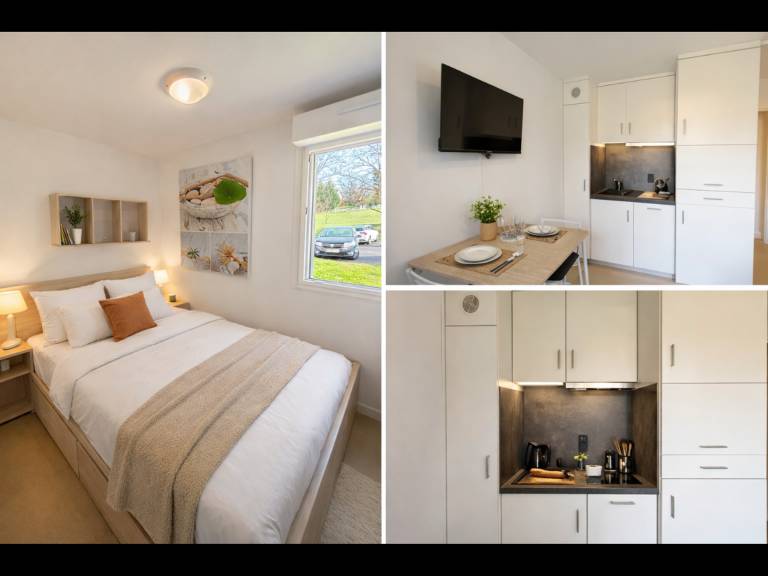 Pleasant rental apartment | Dogs allowed in Loches